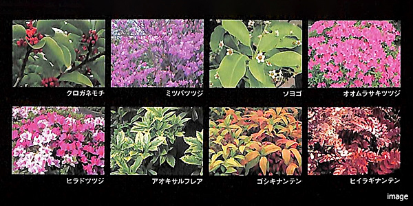 植栽写真｜BELISTA高井戸駅前