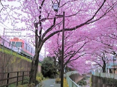 神田川沿い｜BELISTA高井戸駅前